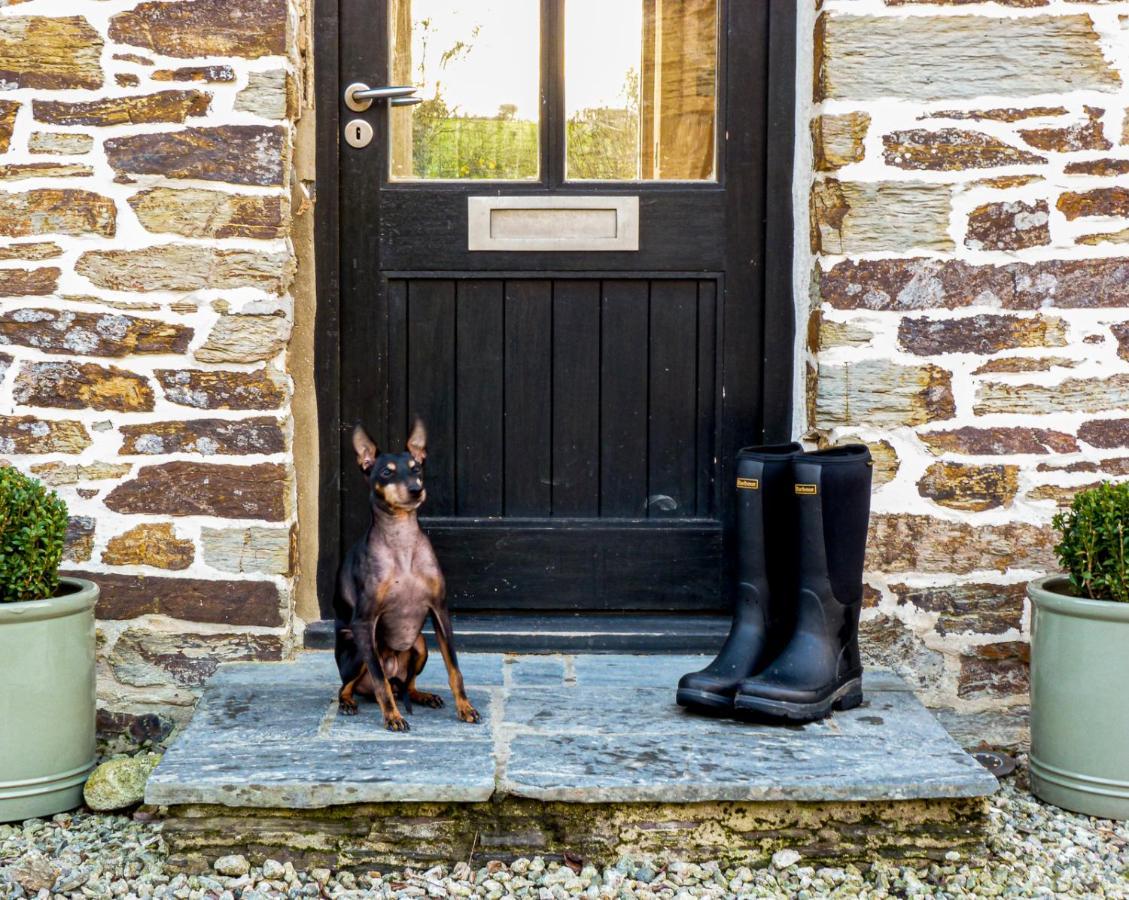 Gwel An Heyl, Padstow Villa Little Petherick Ngoại thất bức ảnh